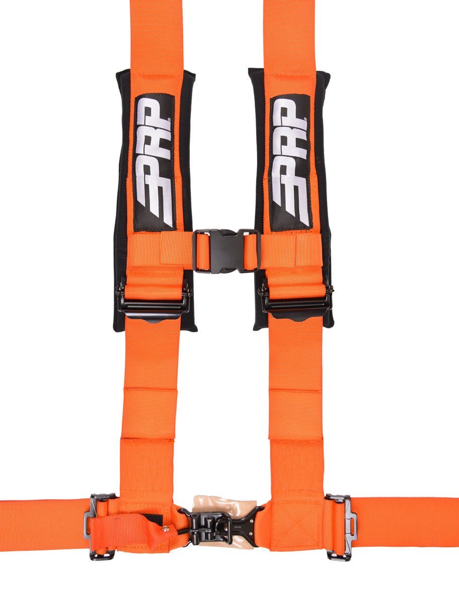 3 4 point harness best sale